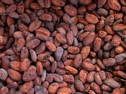 Green Coffee Bean